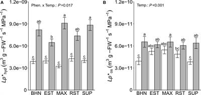 Tomato Rootstocks Mediate Plant-Water Relations and Leaf Nutrient Profiles of a Common Scion Under Suboptimal Soil Temperatures